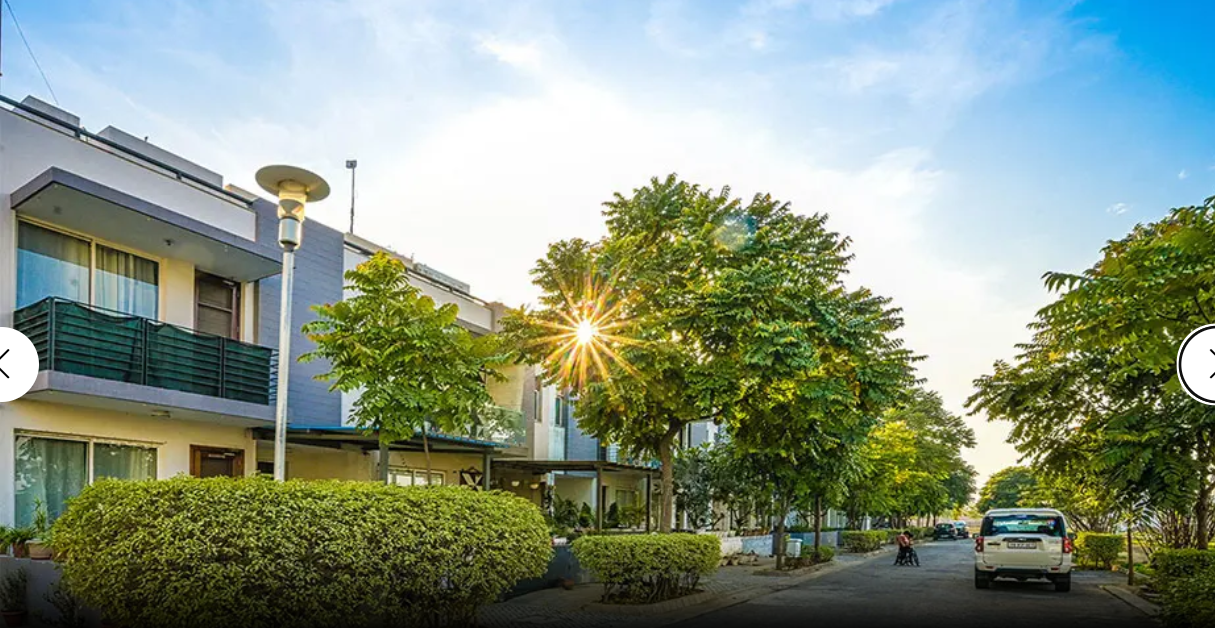 Green Living Environment
